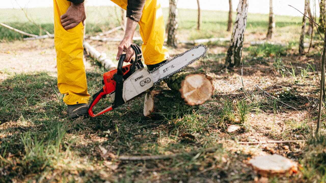 Tree Branch Trimming in Hogansville, GA